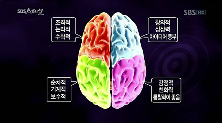 좌뇌는 조직적 논리적 수학적, 순차적 기계적 보수적인 성향을 띄며, 우뇌는 창의적 상상력 아이디어풍부, 감정적 친화력 통찰력이 뛰어난 경향을 보입니다.